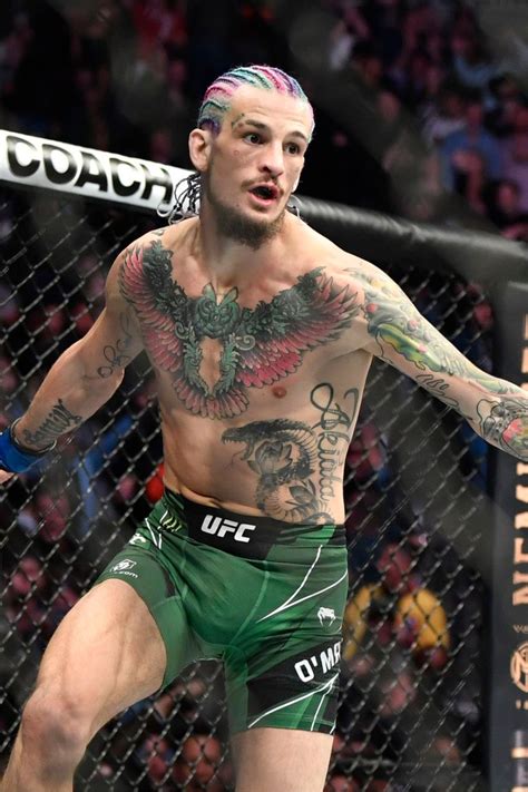 Sean O’Malley MMA – Net Worth, Contract, Detailed Information